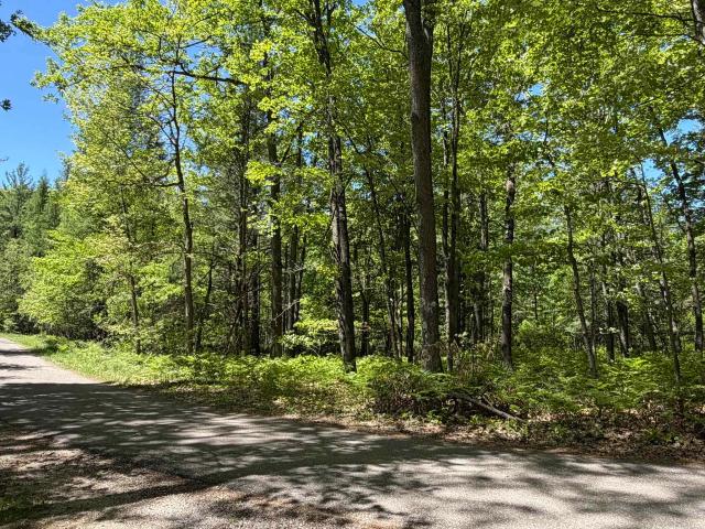 Land for sale in Clare, Michigan