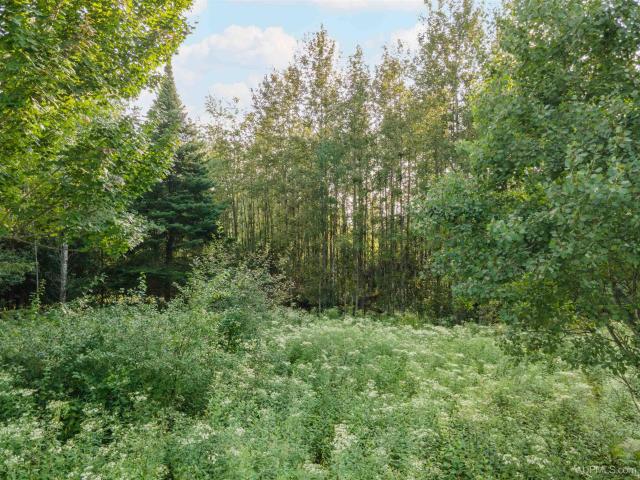 Land for sale in Iron River, Michigan