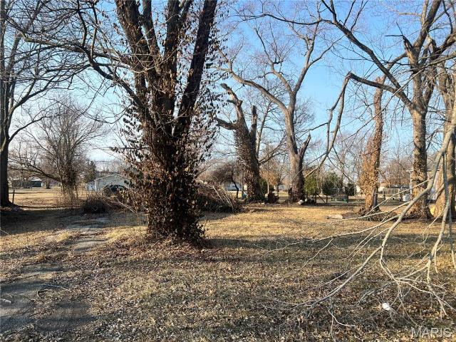 Property for sale in Coffeen, Illinois