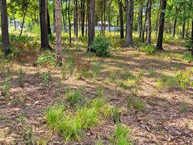 Land for sale in Malakoff, Henderson County