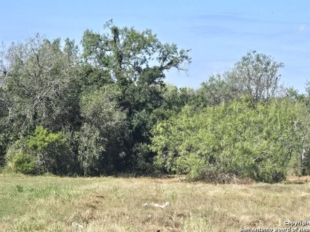 Land for sale in Bee, Texas