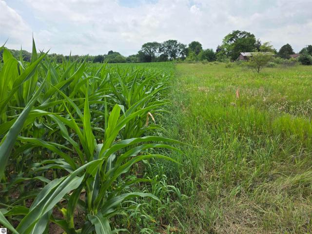 Land for sale in Isabella, Michigan