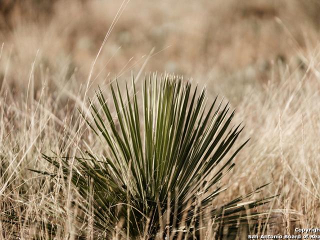 Land for sale in Blanco, Texas