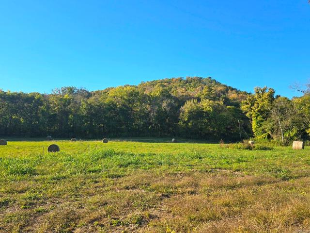 Land for sale in Melbourne, Izard County