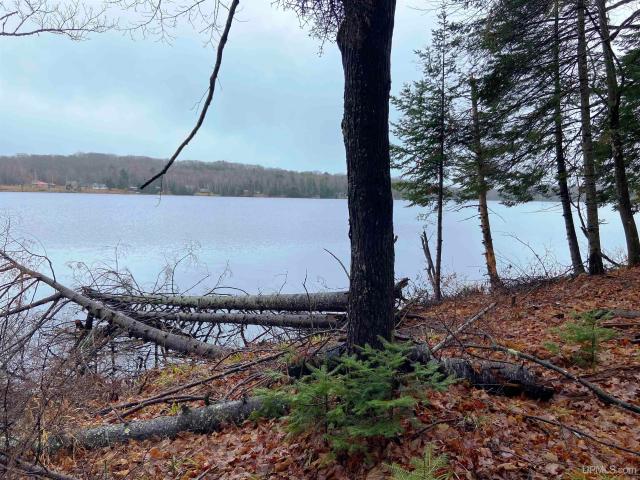 Land for sale in Michigan