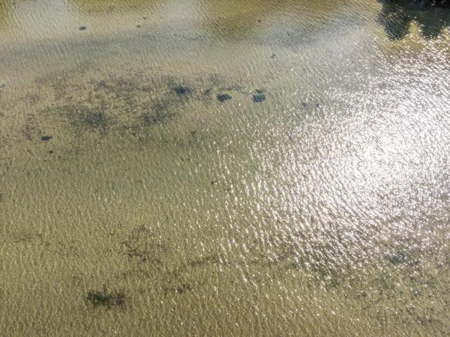 Land for sale in Bena, Minnesota
