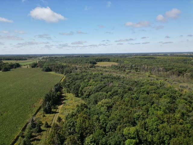 Land for sale in Wadena, Otter Tail County
