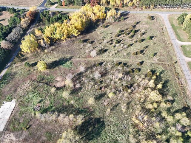 Land for sale in Bellevue Township, Morrison County