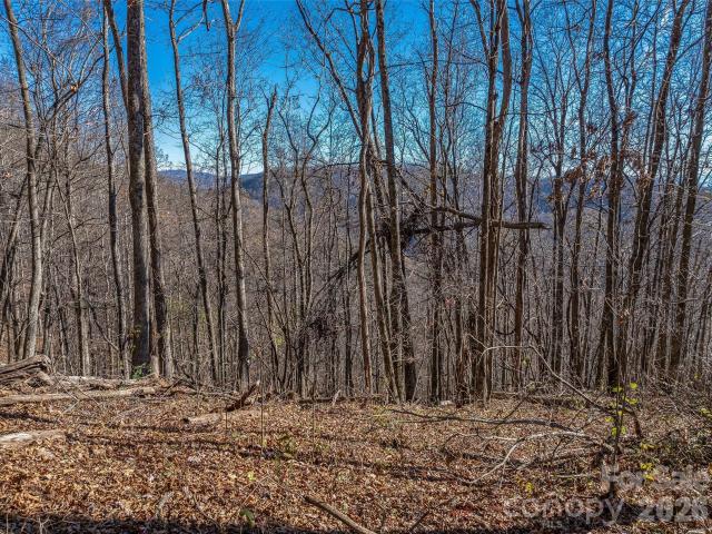 Land for sale in Marshall, North Carolina