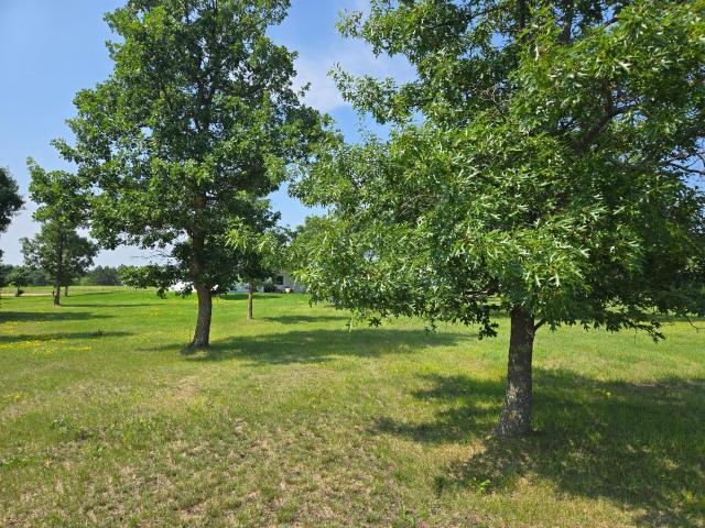 Land for sale in Hubbard, Minnesota