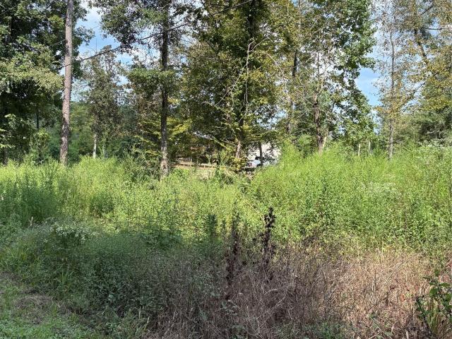 Land for sale in Polk, Texas