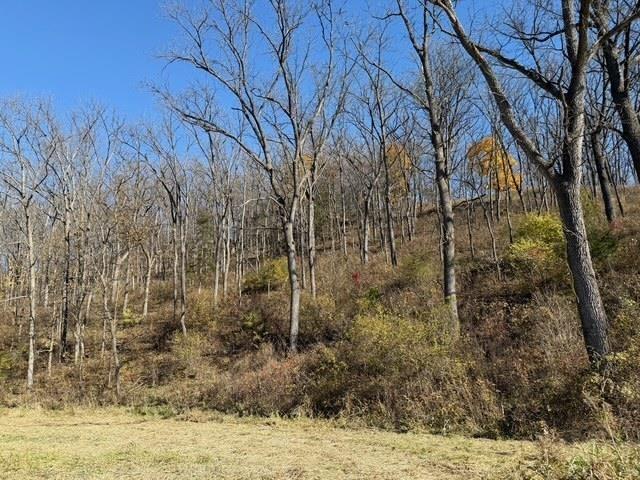 Land for sale in Galena, Illinois