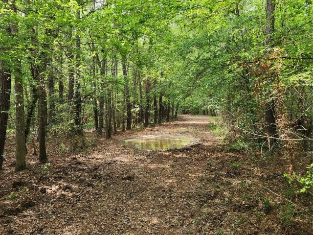 Land for sale in Texas