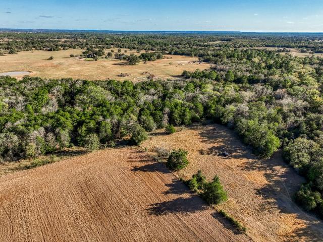 Farm for sale in Giddings, Texas