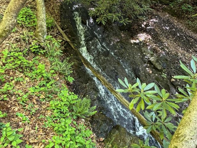 Land for sale in Virginia