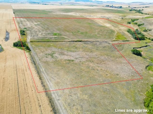 Land for sale in Cottonwood, Idaho