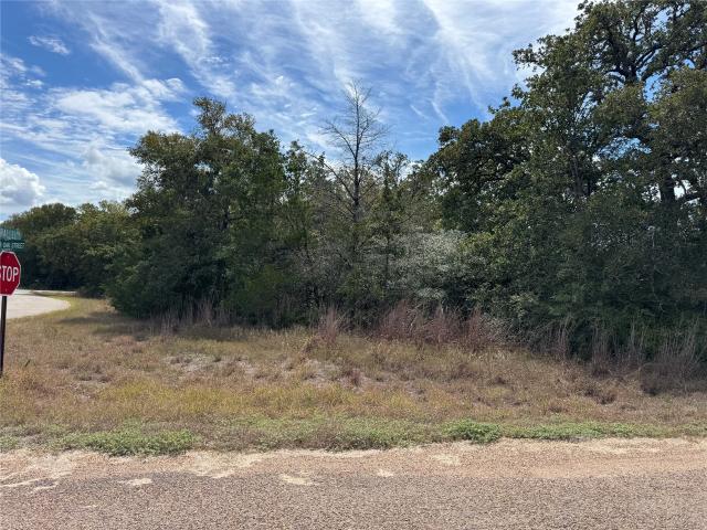 Land for sale in Somerville, Texas