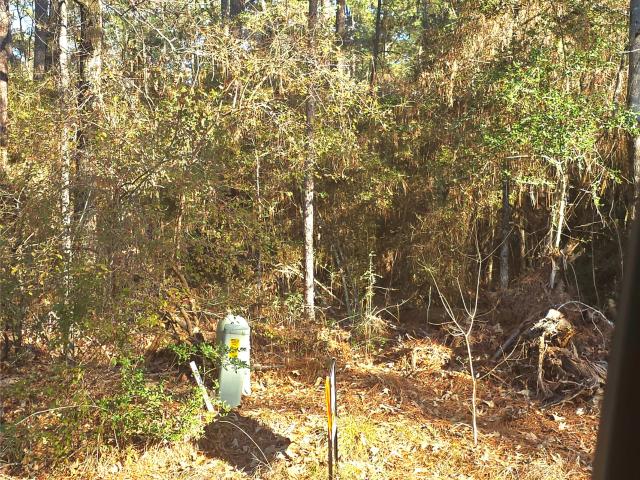 Land for sale in Huntsville, Texas