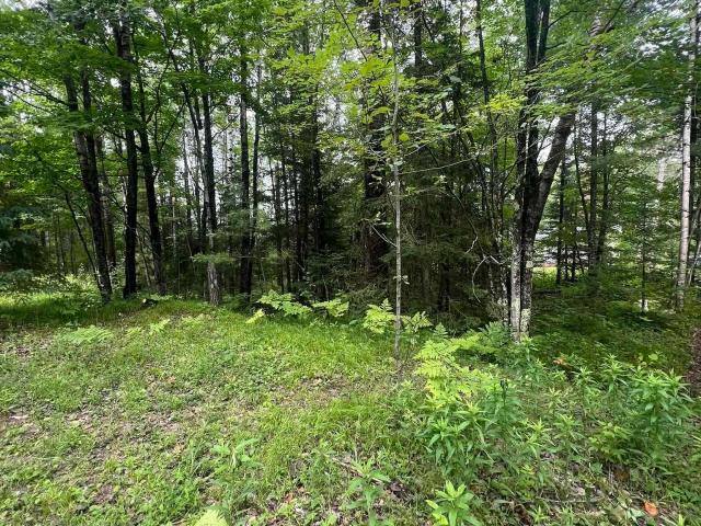 Land for sale in Vulcan, Michigan