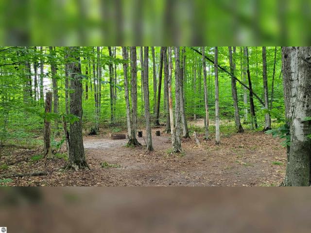 Land for sale in Michigan