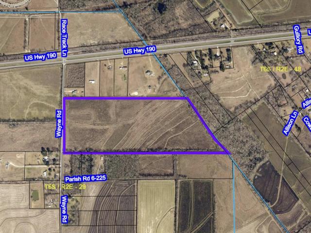 Land for sale in Eunice, Louisiana