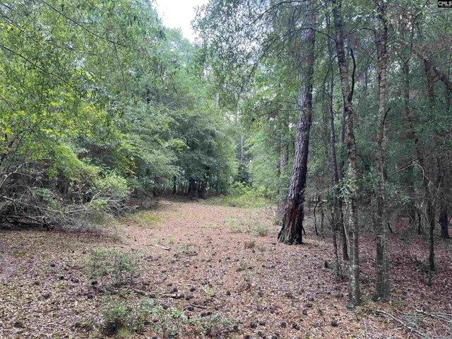 Land for sale in Salley