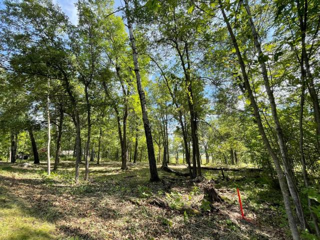 Land for sale in Walker, Minnesota