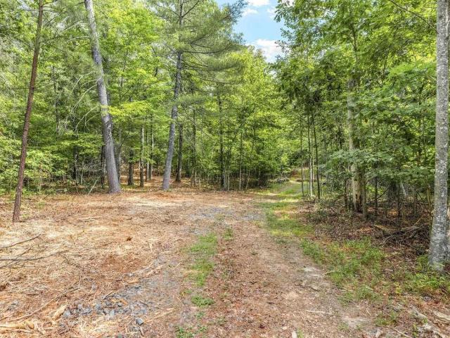 Land for sale in Virginia