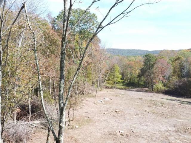 Land for sale in Town of Austerlitz, Columbia County