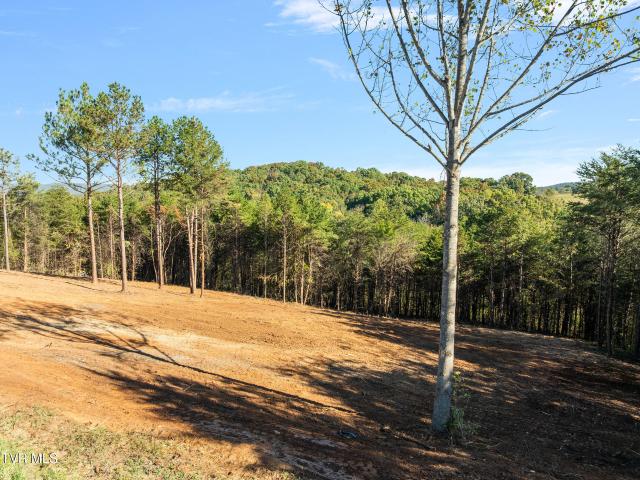 Land for sale in West Hills, Mosheim