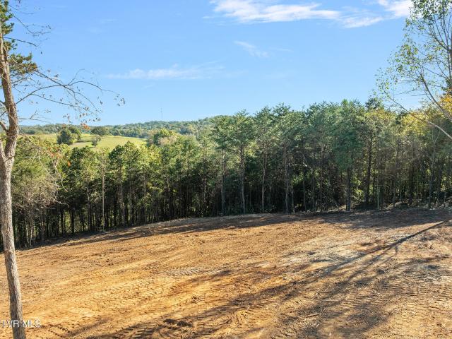 Land for sale in West Hills, Mosheim