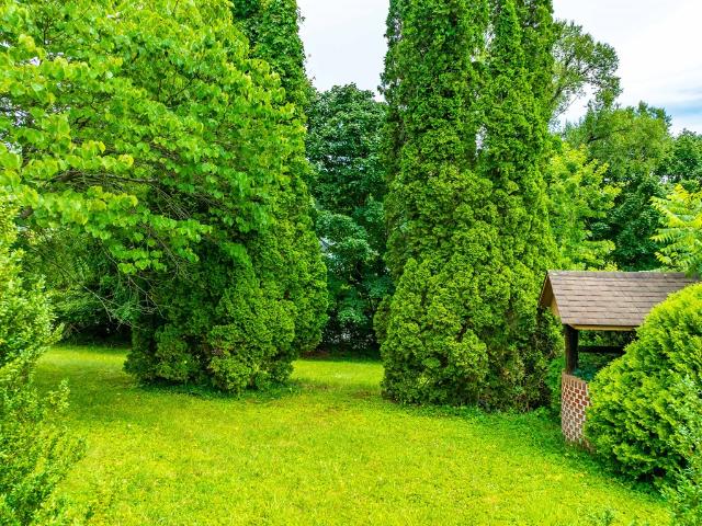 Land for sale in Virginia