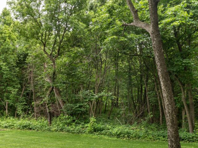 Land for sale in Richville, Minnesota