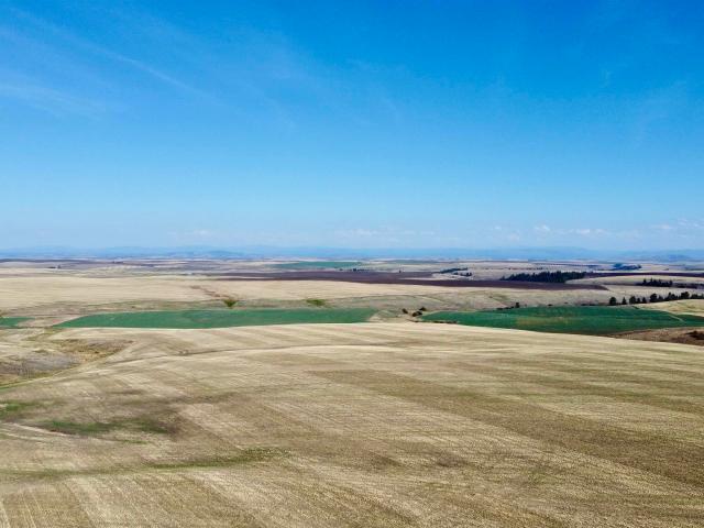 Property for sale in Craigmont, Idaho