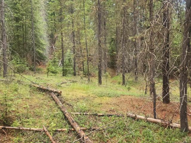 Land for sale in Elk City Census Designated Place, Idaho County