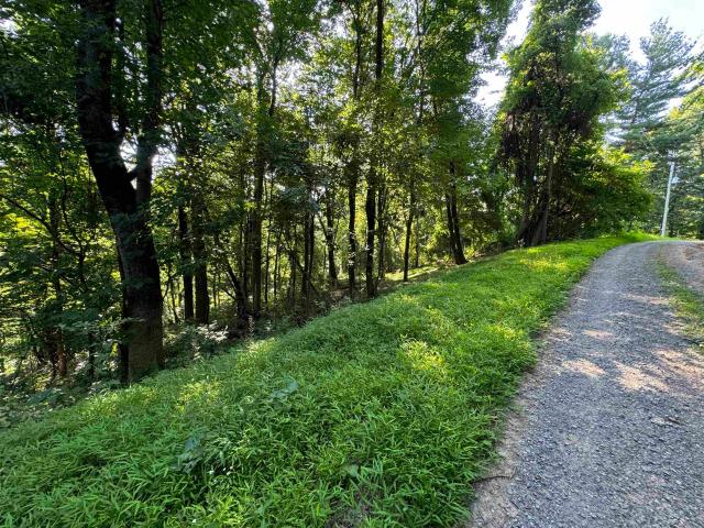 Land for sale in Pine Grove, Stanley