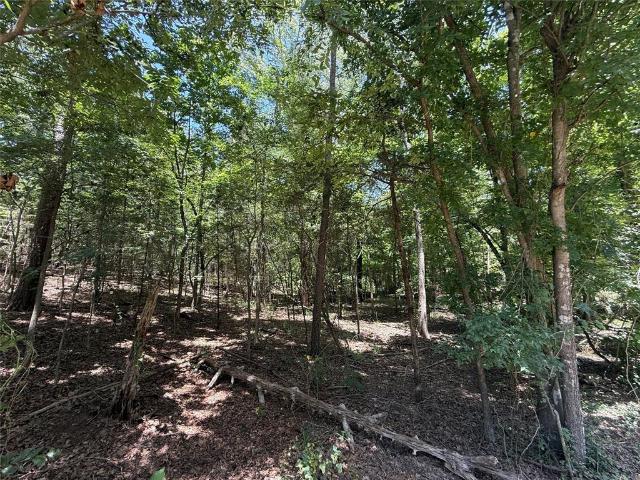 Land for sale in Franklin, Texas