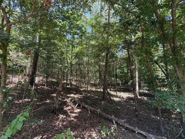Land for sale in Franklin, Texas