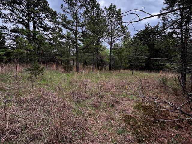 Land for sale in Ark