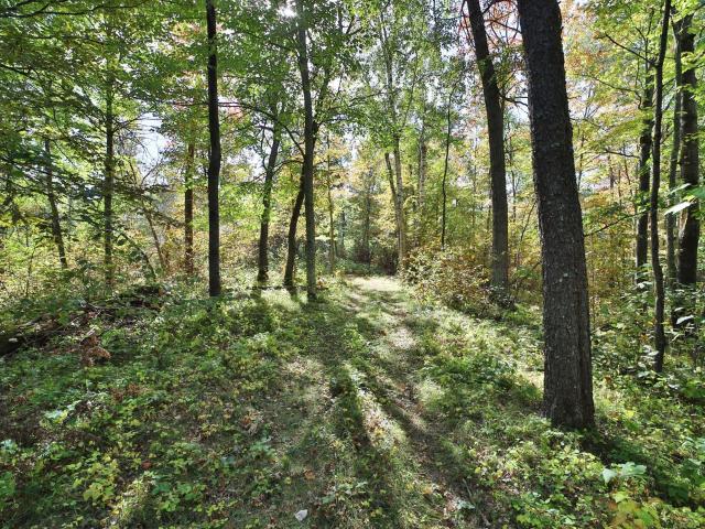 Land for sale in Crosslake, Minnesota