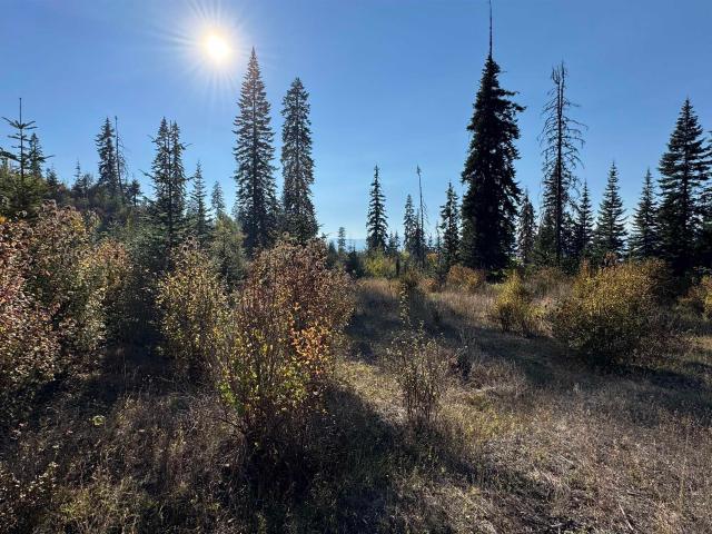 Land for sale in Orofino, Idaho
