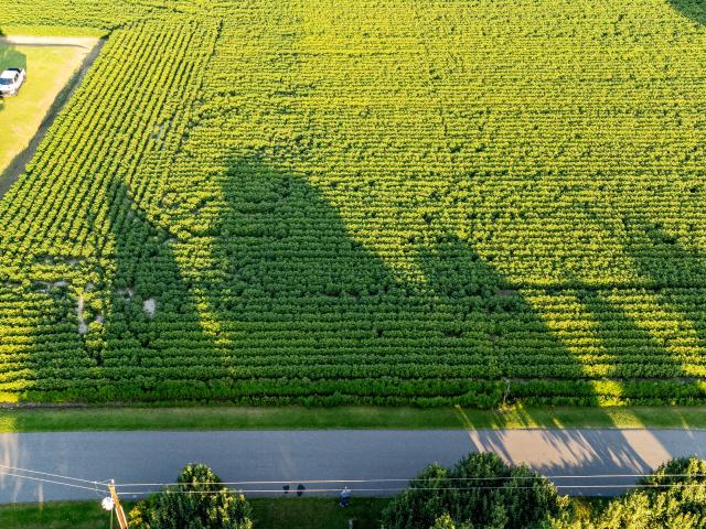 Land for sale in Hertford, North Carolina