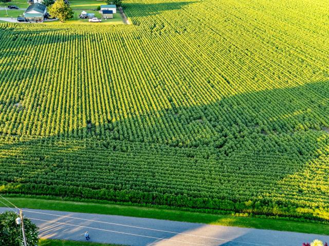 Land for sale in Hertford, North Carolina