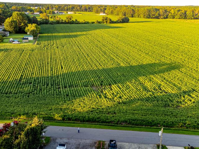 Land for sale in Edenton, North Carolina