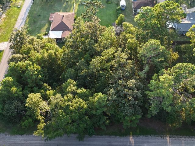 Land for sale in Onalaska, Polk County