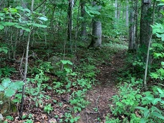 Land for sale in Montreat, North Carolina