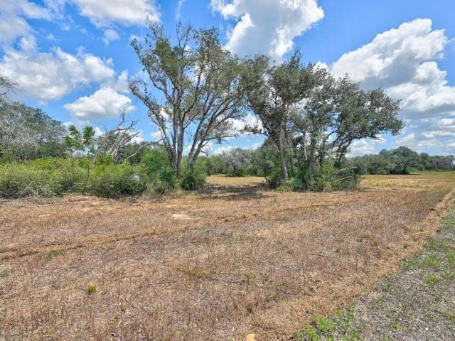 Land for sale in Columbus, Texas