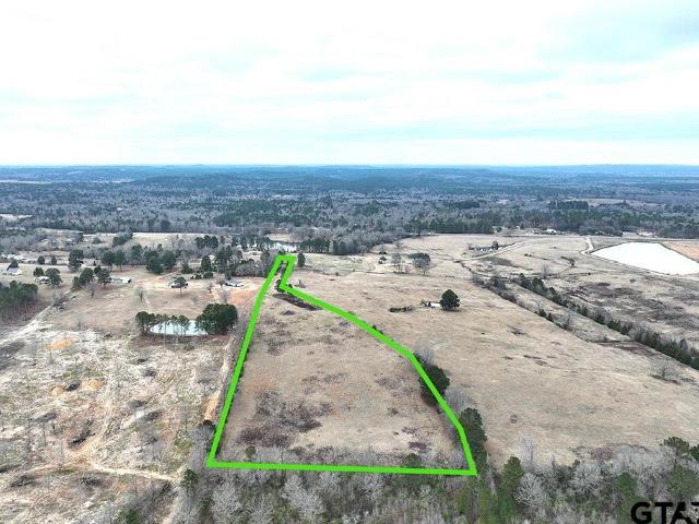 Land for sale in Diana, Texas