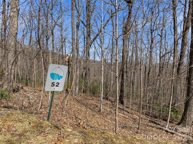 Land for sale in North Carolina
