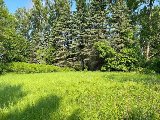 Land for sale in Frazee, Minnesota